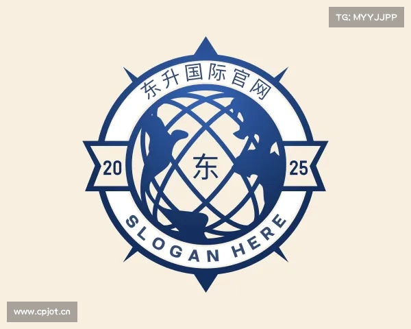 介绍东升国际官网